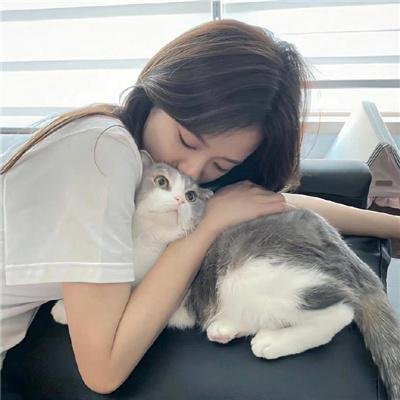 雾水总统